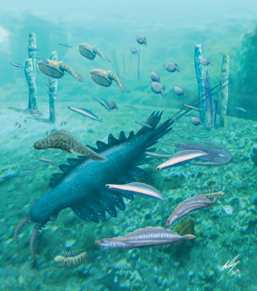 Chengjiang Biota - the dawn of the vertebrates, by Brian Choo:“Strange creatures swarm in shal