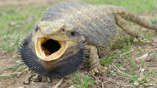 xeppeli: FUUUUUCCCCKKKKKKKK YOOOOOOOOUUUUUUU 