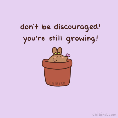 chibird:You’re still growing!Let yourself go down your path without feeling bad when you look at oth