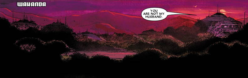 superheroesincolor:  House of M: Black Panther Vol 4 #7 (2005)   // Marvel ComicsPrincess