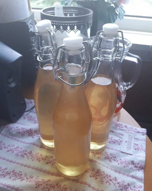 Summer in a bottle #meadowsweet #concentrate #justaddwater #levlandlig #livetpålandet #homemade #øyl