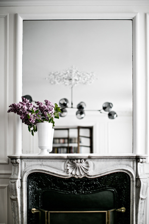 A Paris apartment by Jean Charles Tomas