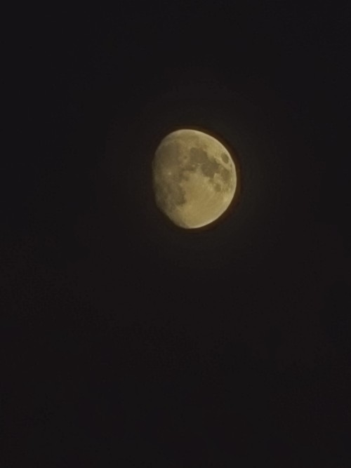 I Love The Fucking Moon.