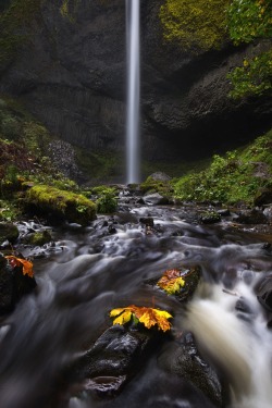 sapphire1707:  Latourell Falls | by joshhirschi