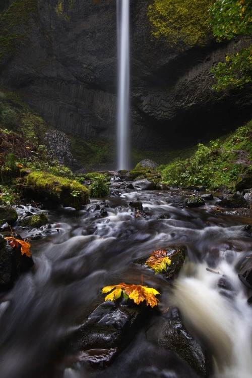 sapphire1707:  Latourell Falls | by joshhirschi | http://ift.tt/1puYxlp 