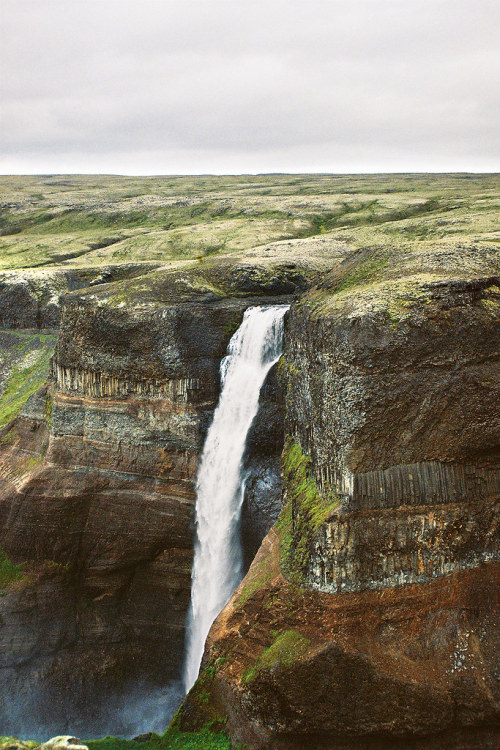 wanderthewood:
“ Háifoss, Iceland by Hëllø i’m Wild
”