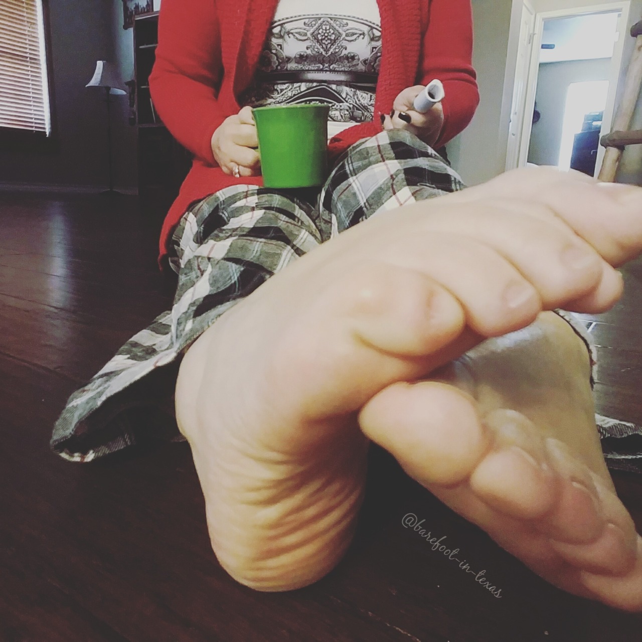 barefoot-in-texas:  what are your plans today?