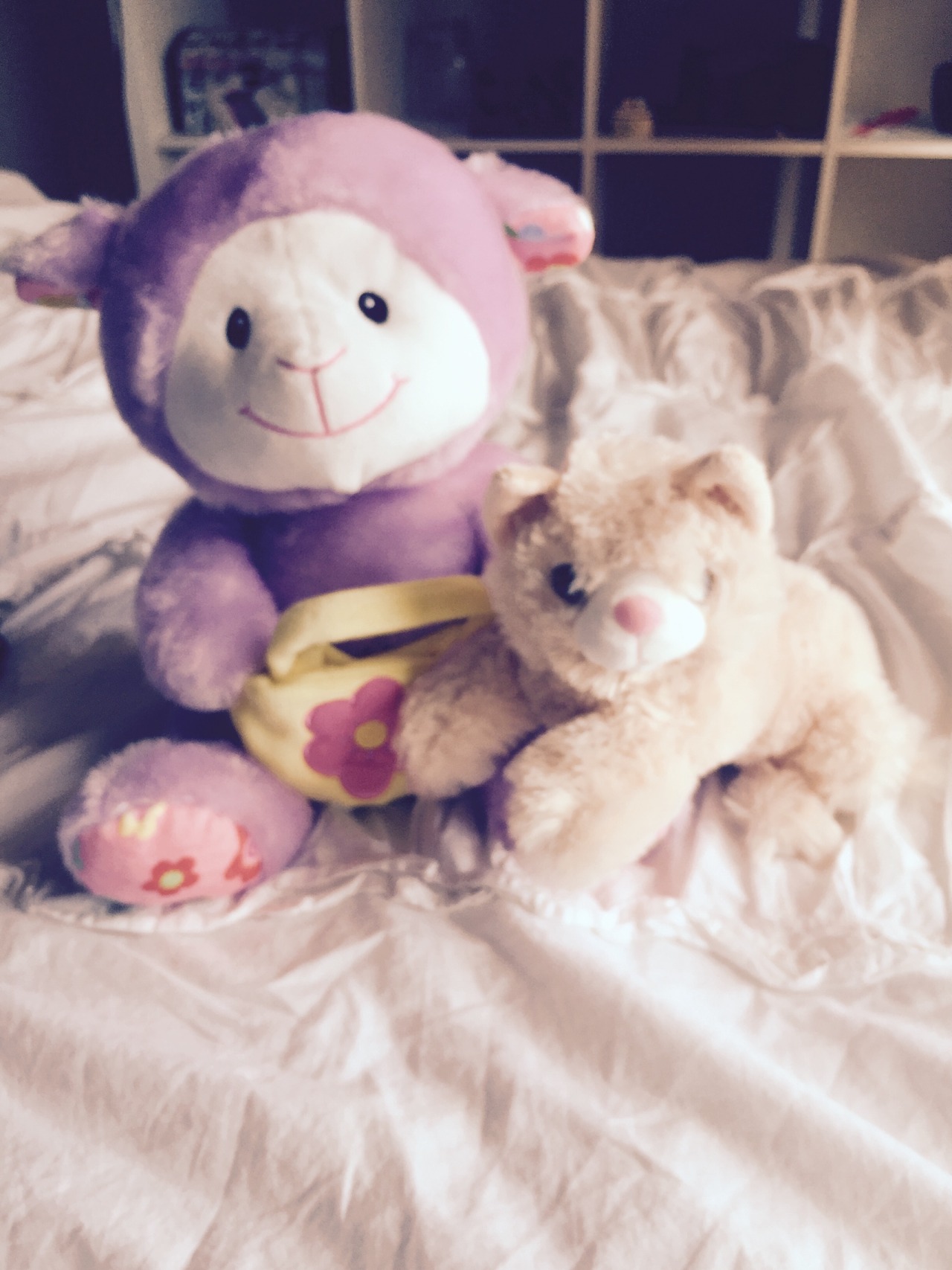 kawaiionnanoakachan:  I was so cute today I was allowed to get TWO stuffies!!