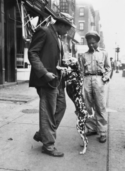 thephotoregistry: Harlem, New York, 1949 Richard Avedon 