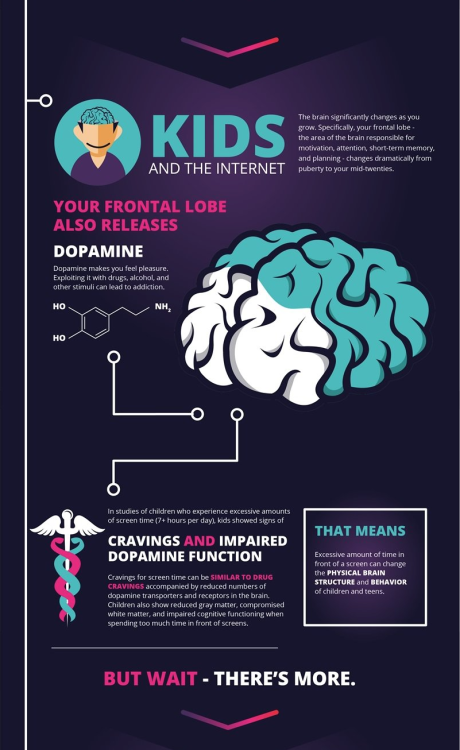 americaninfographic:Internet Brain