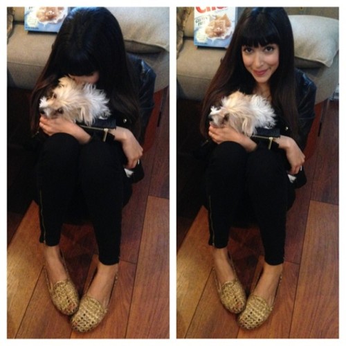 lets-celebrate-me:“Cuddles in between scenes with @zooeydeschanel’s little girl Dot. #puppylov