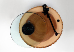 bombing:  The Audiowood Barky Turntable by Joel