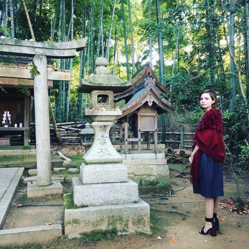 Some instagram snaps from Shorin-in. So many incredible shrines in Kyoto! I can’t wait to see how th