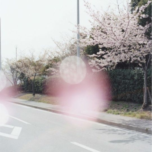   ⠀⠀ ♪⠀· ˚ ｡⠀⠀from⠀my⠀ROTT𝒾NG⠀BO𝒹Y, ⠀⠀⠀ ⠀ FL𝑜WERS⠀shall⠀bloom⠀⠀໑ৎ