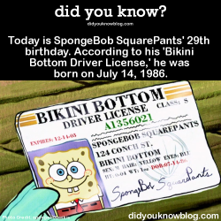 did-you-kno:  Happy Birthday, Spongebob! Party hard.Source