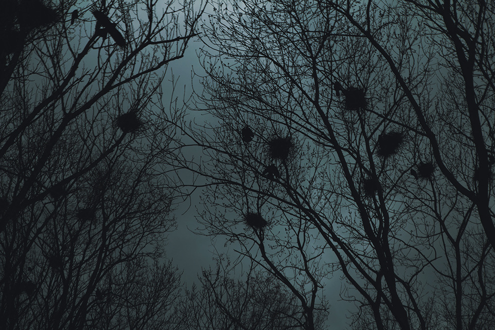 anabellabella21:  elenahelfrecht:  This is how I feel today. Taken in Minsk. FacebookWebsite