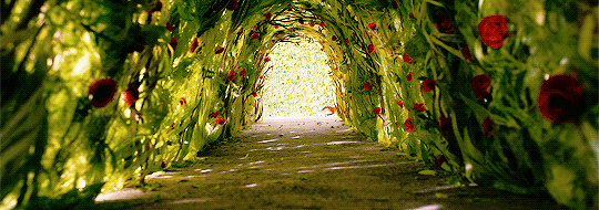 animations-daily:“You are not at all like my rose,” he said. “As yet you are nothing. No one has tam