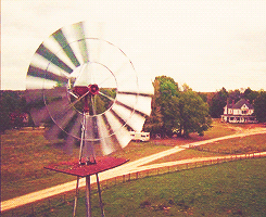 amywiliams:     The Walking Dead meme ⟶ five locations/places [4/5]  ↳Greene