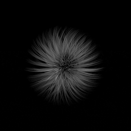 jesuisrien-e:Black and White