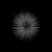 jesuisrien-e:Black and White