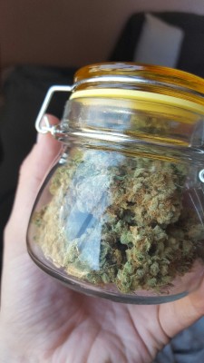 dabakin-cloudblower:  New jar, new weed. 