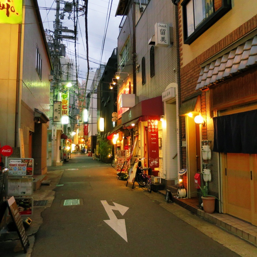 kumako365jp:  just a little walk at night 
