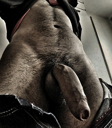 swiss-stallion:  SWISS STALLION proudly presents:RANDY’S MEN from randylee2013