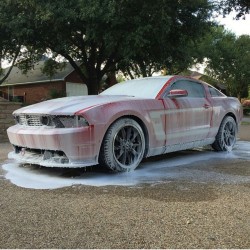 chemicalguys:  The Boss 302 dripping in foam 😍 @chemicalguys #chemicalguys #mrpink #chemicalguys #foamfriday