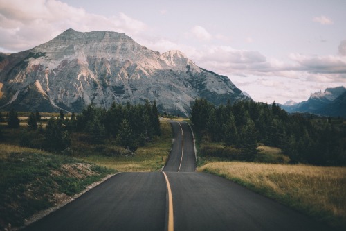 bokehm0n:Road tripping in Canada.