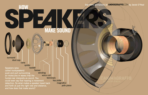 rootspirit: Como alto-falantes fazem somvia: animagraffs.com/loudspeaker