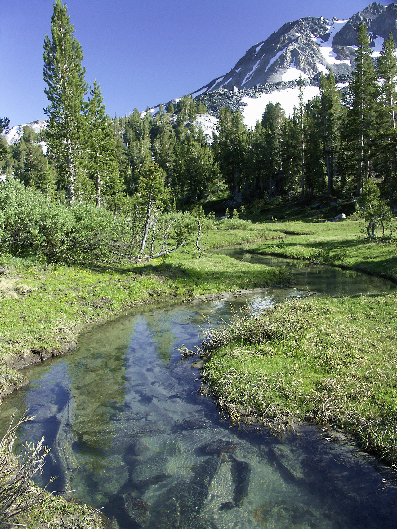 philotheoristic:Alpine Stream, Mammoth Lakes area between Lake Mary and Duck Lake