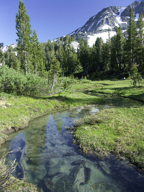 philotheoristic:Alpine Stream, Mammoth Lakes area between Lake Mary and Duck Lake Pass