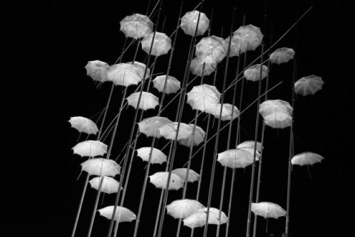 George Zongolopoulos “Umbrellas” by  Spyros Kouris Thessaloniki / April 2017 (via:  steryo.tu