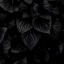 shadesofmyheart-blog2