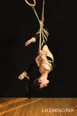 Laquartacorda:  Photo And Ropes: La Quarta Corda - Model: Valerie