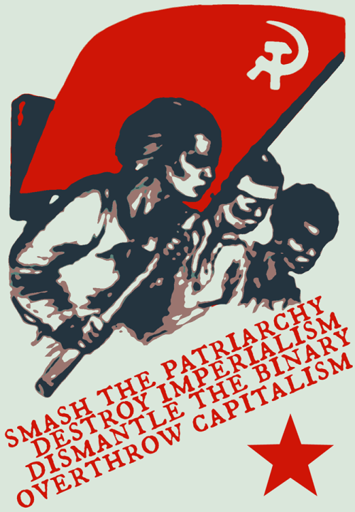 alpine-anarchist:  Burn the old society, and build anew from its ashes. 
