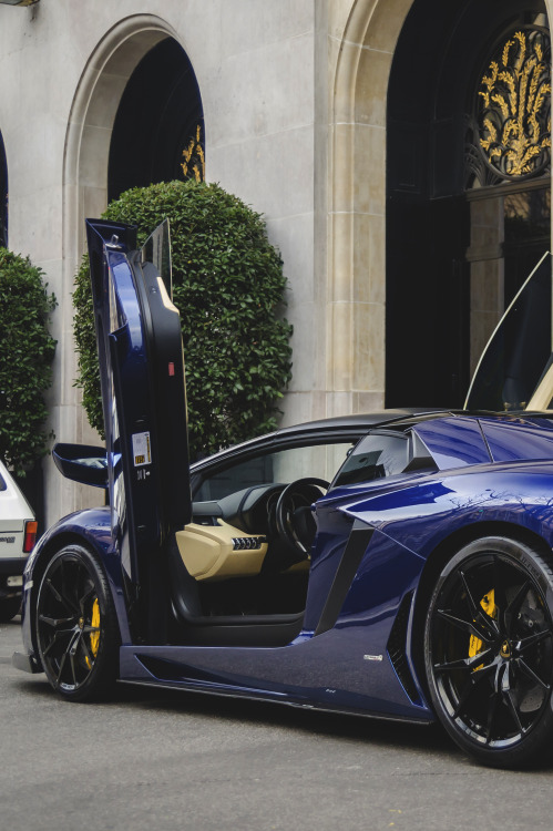 Sex onlysupercars:  Credit pictures