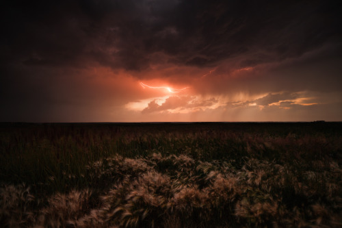 earthandanimals:  Elusive gigawatts of energy by marateaman 