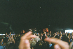darlingdispute:  green day crowd at reading by paola tisi on flickr 