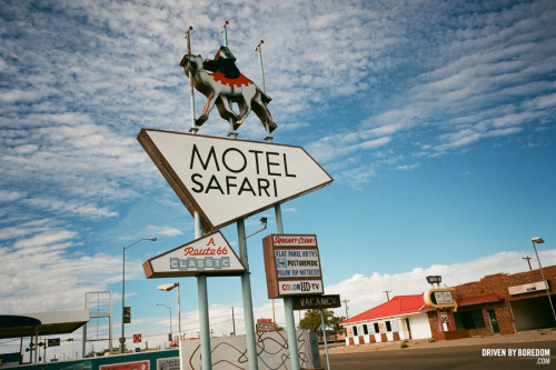 Motel Safari.- Driven By Boredom - Shop DBB - Girls Of DBB - Instagram - Twitter -