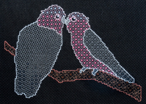 Galahs in blackwork. A test for a new style. Mix of Gütermann and DMC no 12 threads.Art from here.