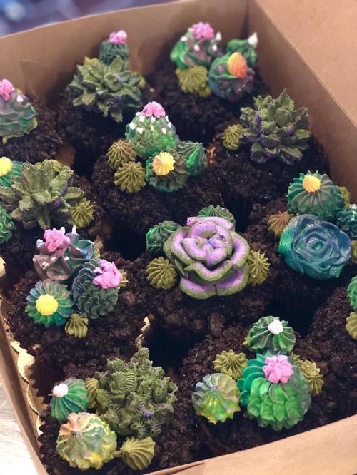 swankydesserts: My first try at buttercream succulents! Jumbo Oreo cupcakes.