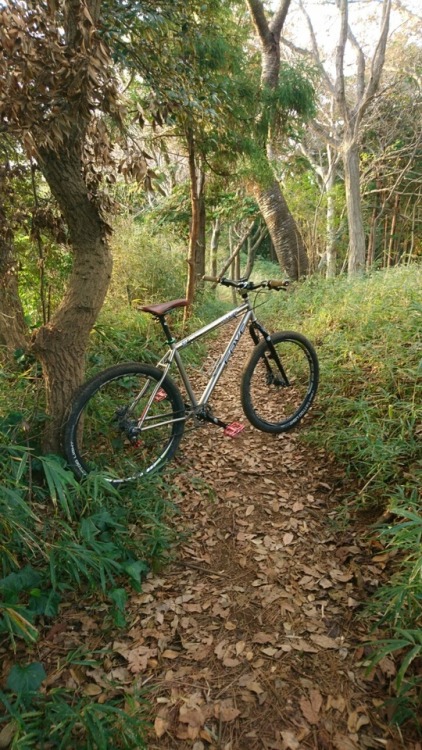krs955: trail work and trail ride.