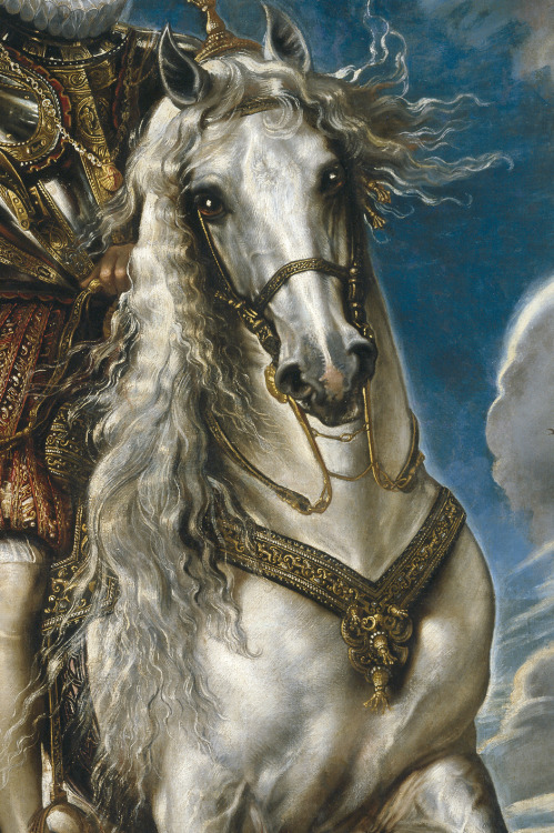 elyssediamond: Peter Paul Rubens Equestrian Portrait of the Duke of Lerma (detail) 1603Museo del Pra