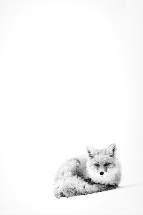 oddscum:  www.oddscum.tumblr.com 
