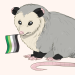 kristoaster:Some pride opossums! 