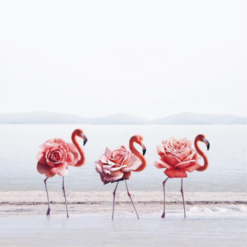 artmania-feed: Surreal Dreamy Photography by 18 Year Old Photographer Luisa Azevedo  Keep 