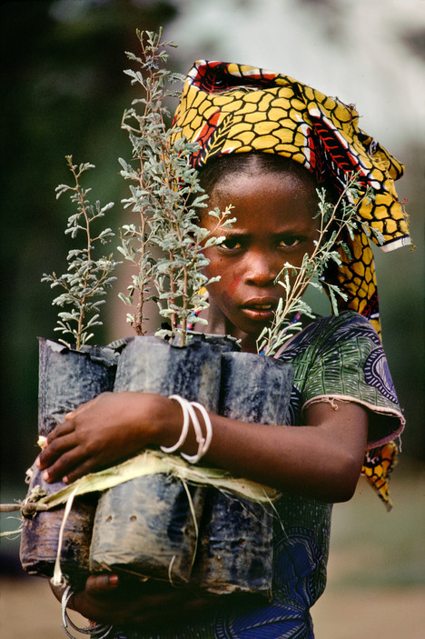 24kblk:  steve mccurry, members of the nomadic woodabe tribe. niger, 1988. 