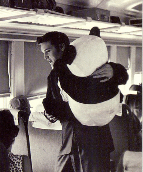klappersacks:  weekly Elvis-(via File Photo)- on Flickr.“Its good to be King”  Panda 