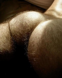 real-untamed-men:  Untamed Men - The blog